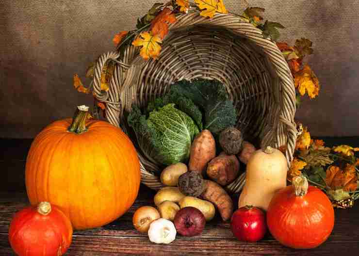 Dieta dell'autunno cosa mangiare 