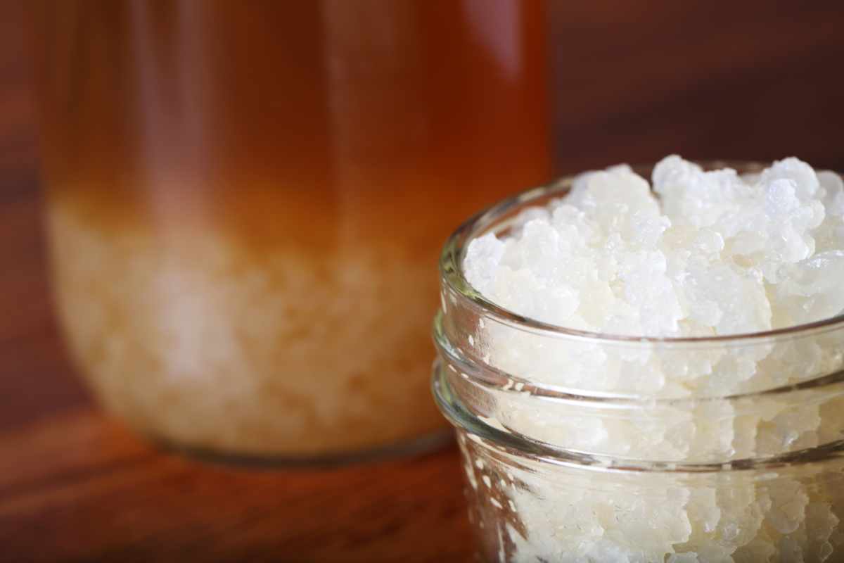 Kefir d’acqua: una bevanda sorprendente con proprietà nutrizionali e probiotiche