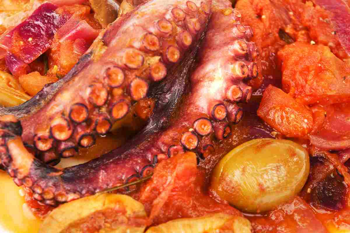 Polpo al sugo, ricetta in umido per farlo morbido e saporito con i consigli della nonna