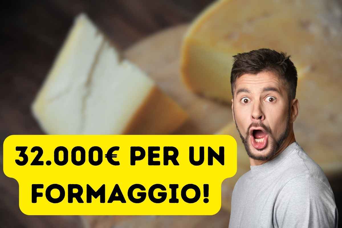 “Costa 32000 euro”: è proprio lui il formaggio più caro al mondo