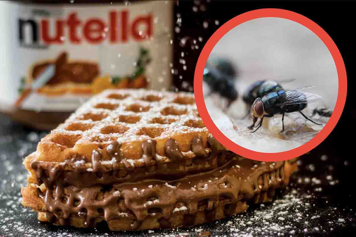 Usare il barattolo di Nutella come repellente insetti