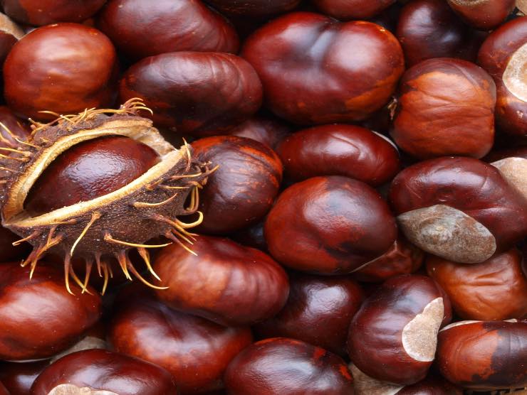 Prova le castagne come le prepara lo chef Cannavacciuolo