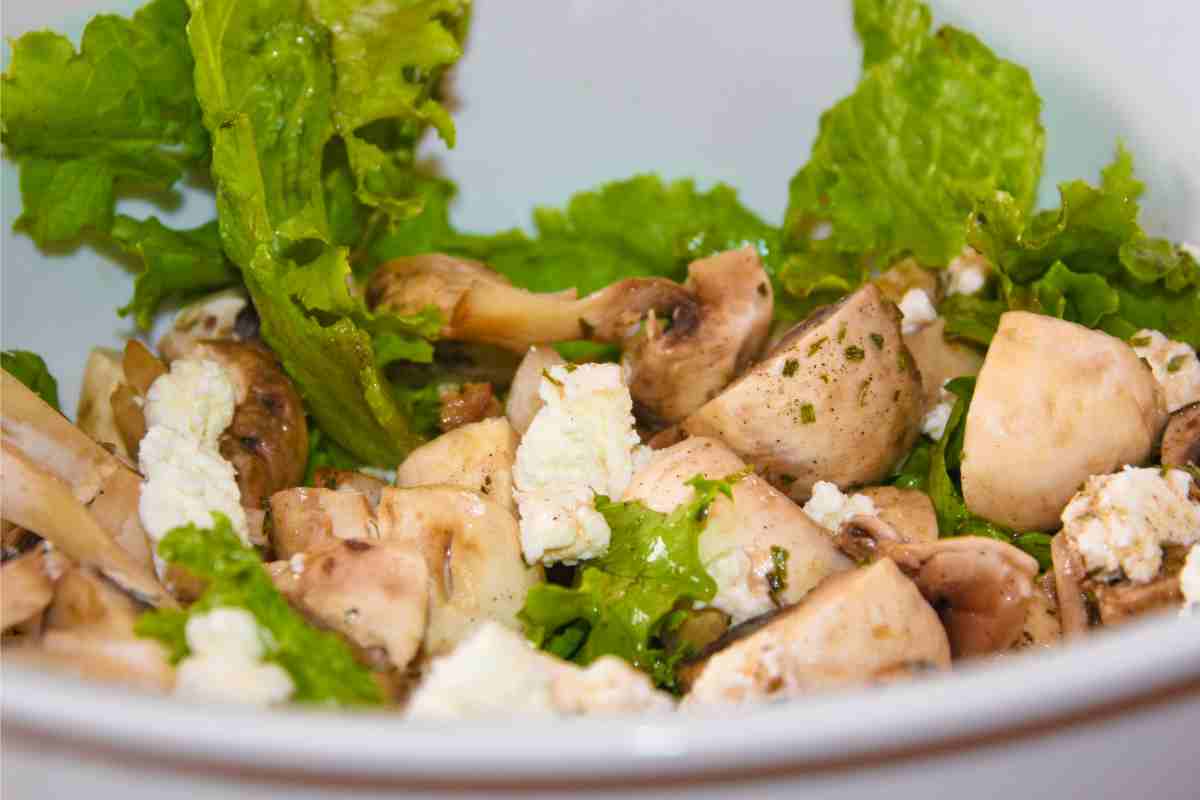 Insalata di funghi ovoli, una delizia per veri intenditori | Buttalapasta