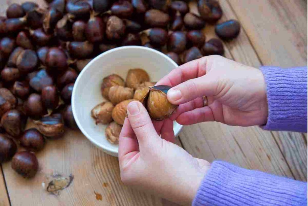 Sbucciare castagne bollite 