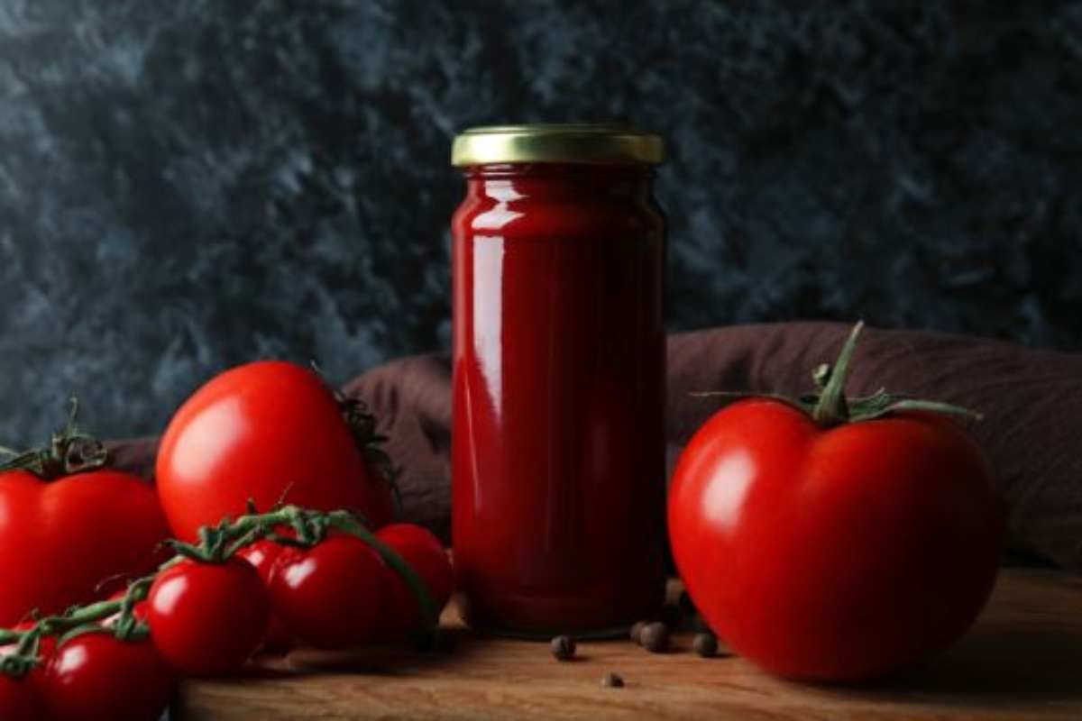 KNEADACE Kit Per Lievito Madre – Barattolo Con Fascia Data Alimentazione, Termometro E Raschietto – Regalo Per Appassionati Di Panificazione