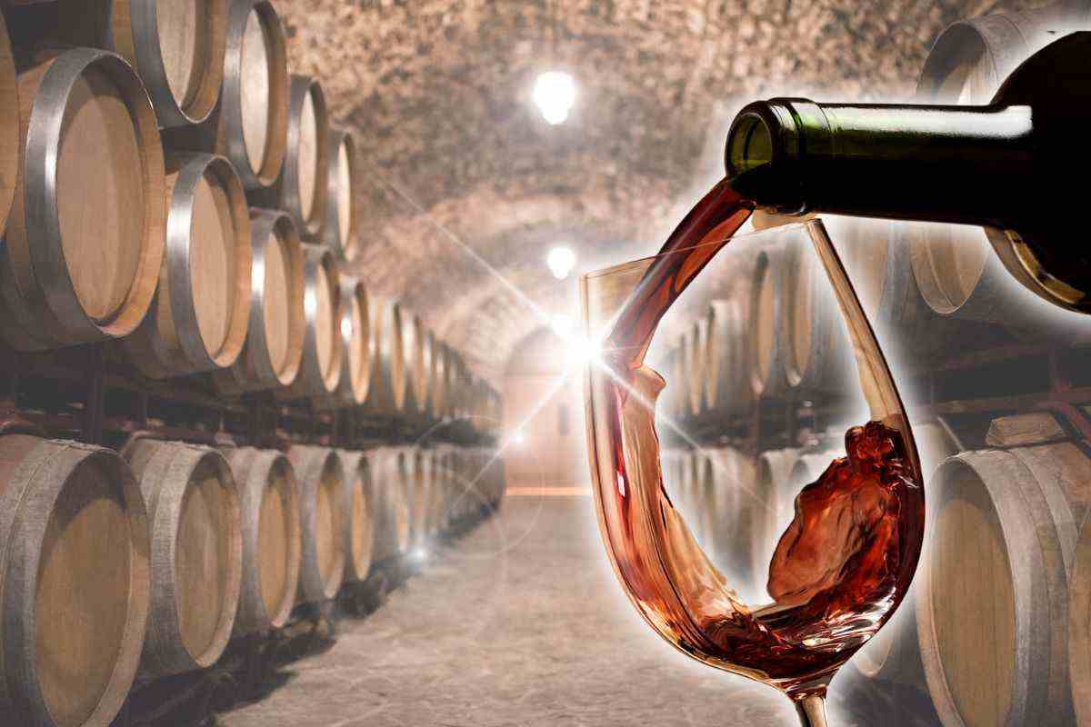 La cantina più esclusiva al mondo vale oltre 50 milioni di euro: le bottiglie di vino più esclusive