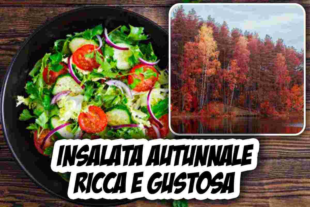 Insalata autunnale, ricca e gustosa con sole verdure di stagione