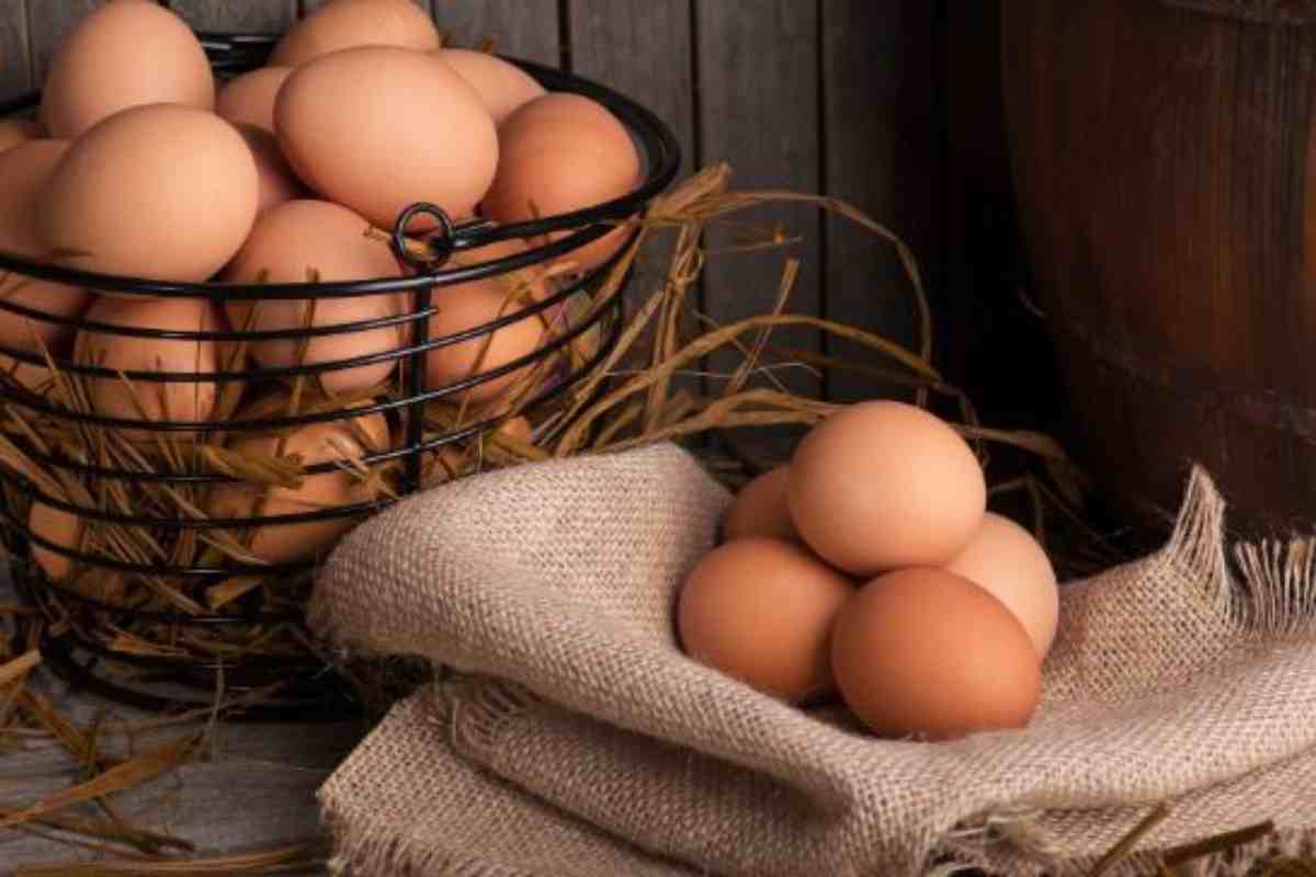mangiare uova ogni giorno fa male?