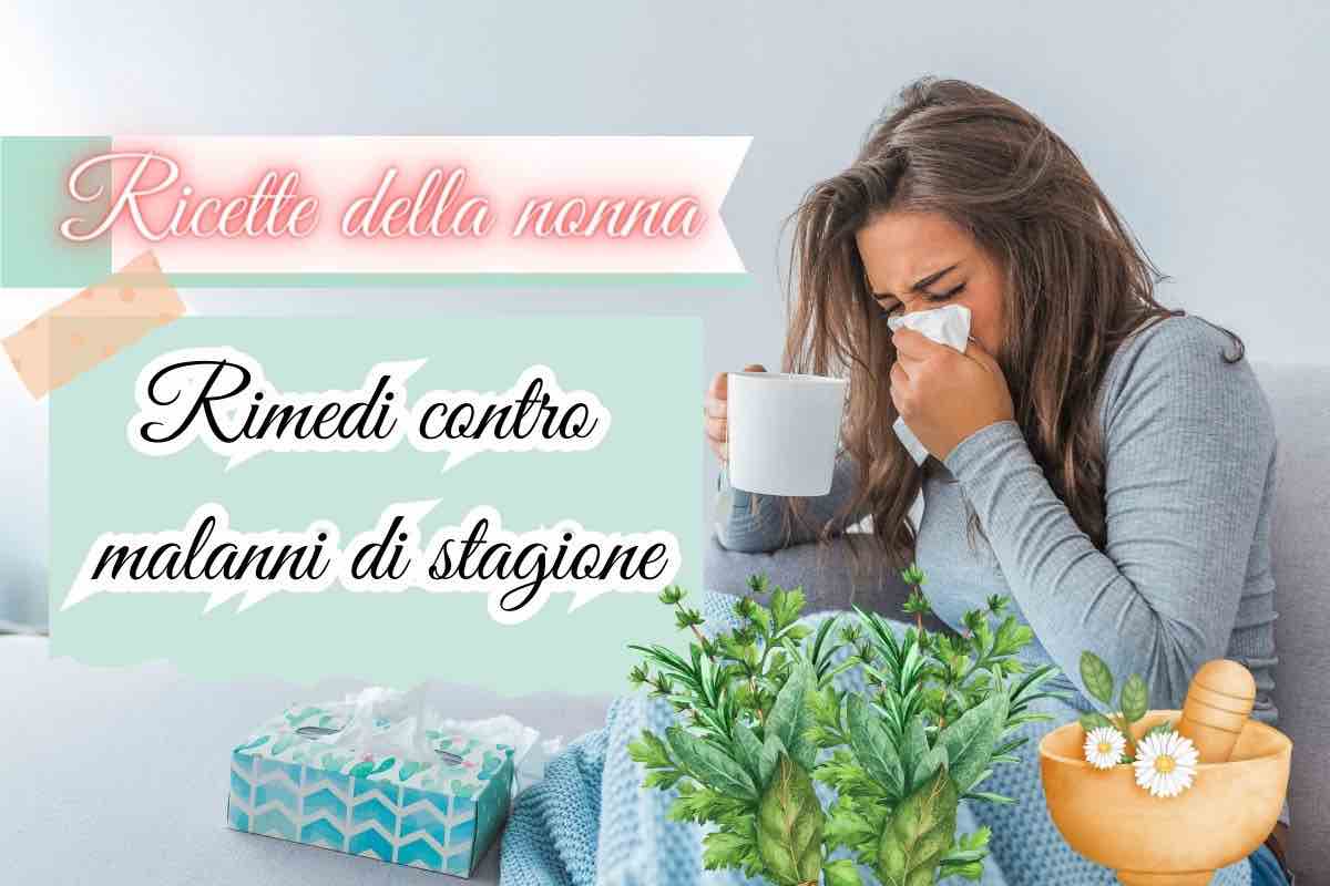 Malanni di stagione: con queste tisane rafforzi subito il tuo sistema immunitario