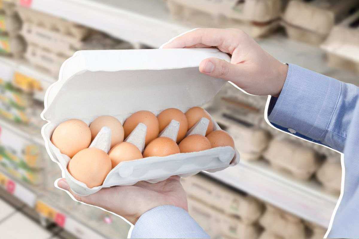 Come scegliere le uova al supermercato: cosa controllare per fare l’acquisto giusto