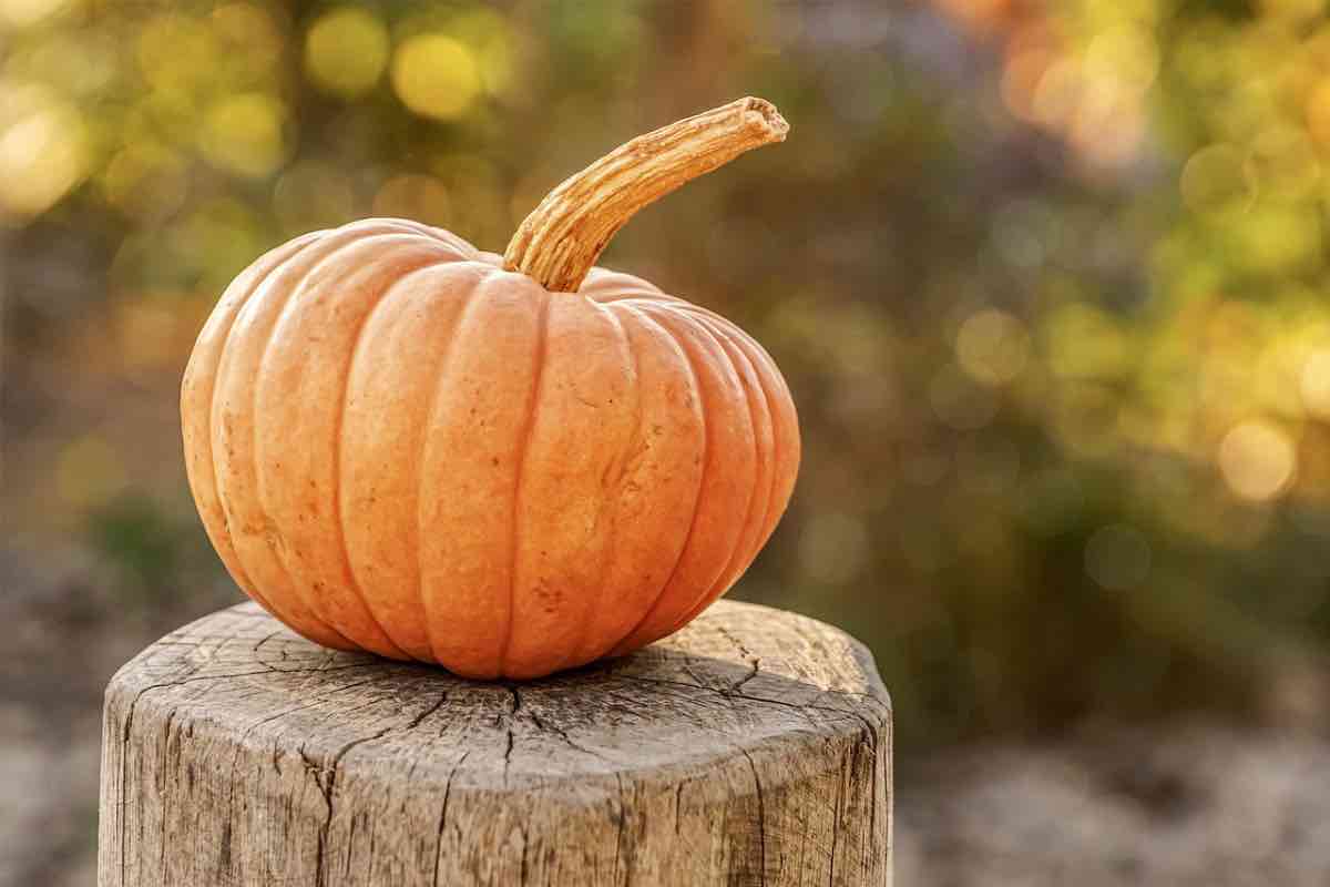 La zucca: l'alimento dell'autunno