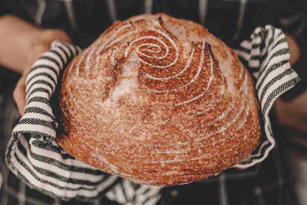 Pane di tumminia, l’antica ricetta con i grani siciliani che non puoi perderti: lo possono fare tutti, è facilissimo