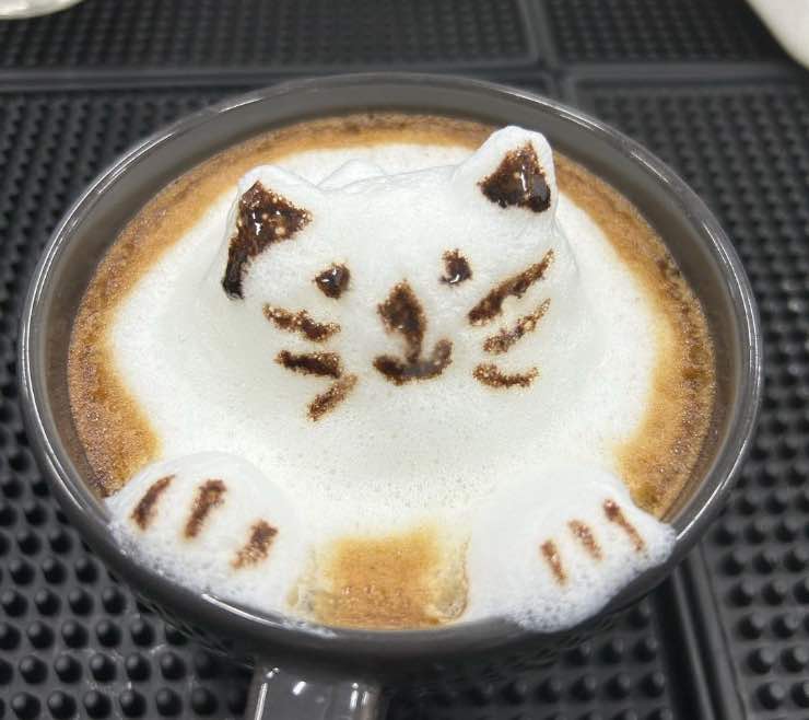 cos'è il cappuccino 3D