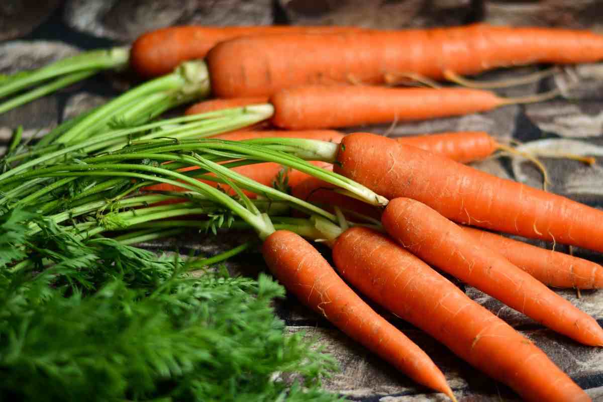 Tenha cuidado se você comer muitas cenouras, pois essa condição pode aparecer