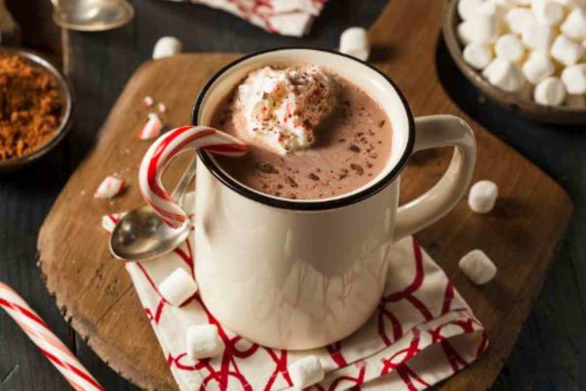 Da quando lo faccio io non lo compro più: il preparato per cioccolata calda si fa in meno di 2 minuti e il risultato è cremosissimo