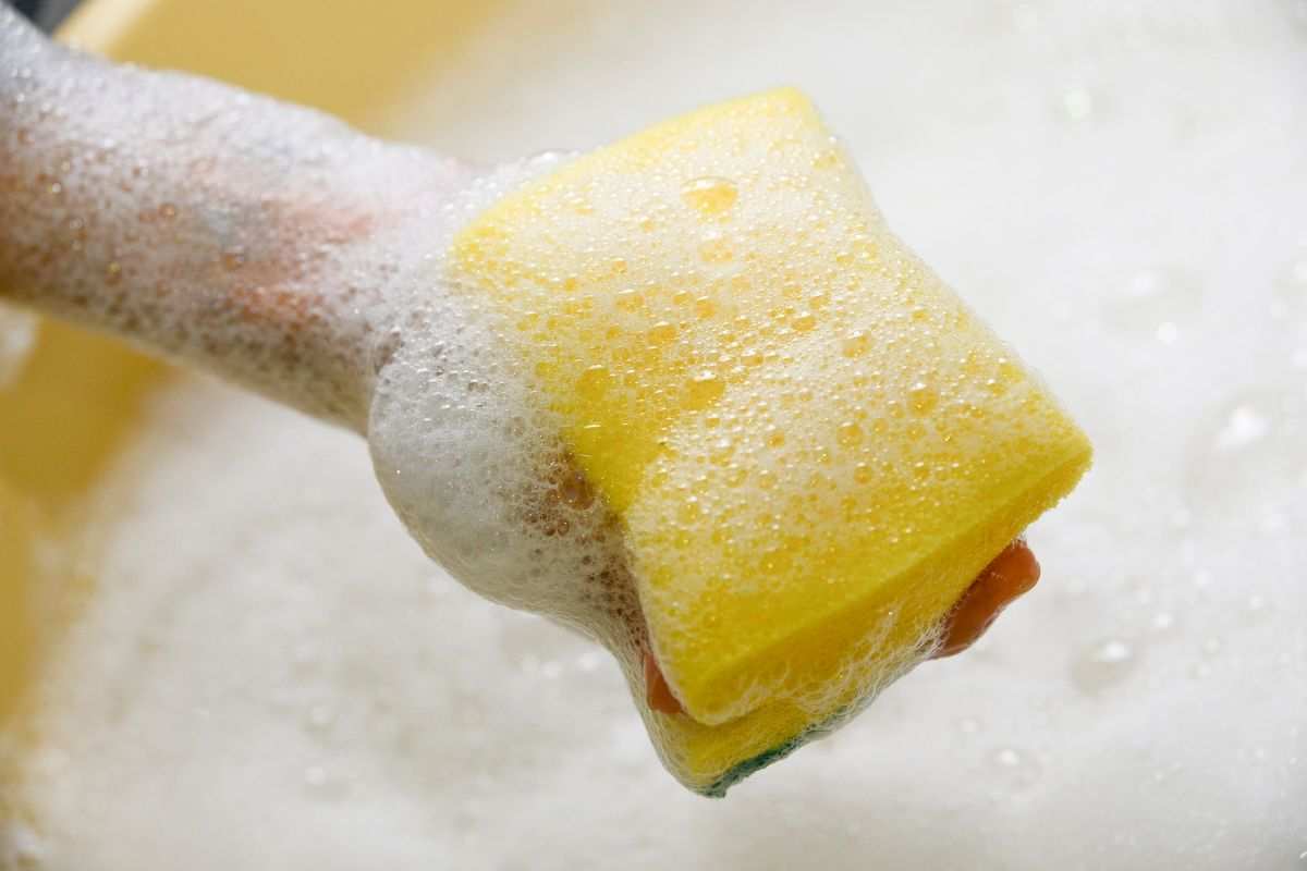 Everyone thinks this trick is for disinfecting sponges but it attracts a lot of bacteria: stop doing it immediately