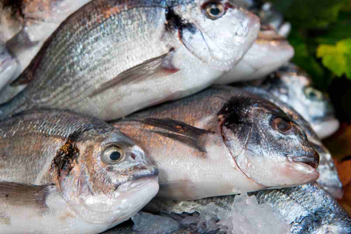 pesce supermercato, come capire se è fresco
