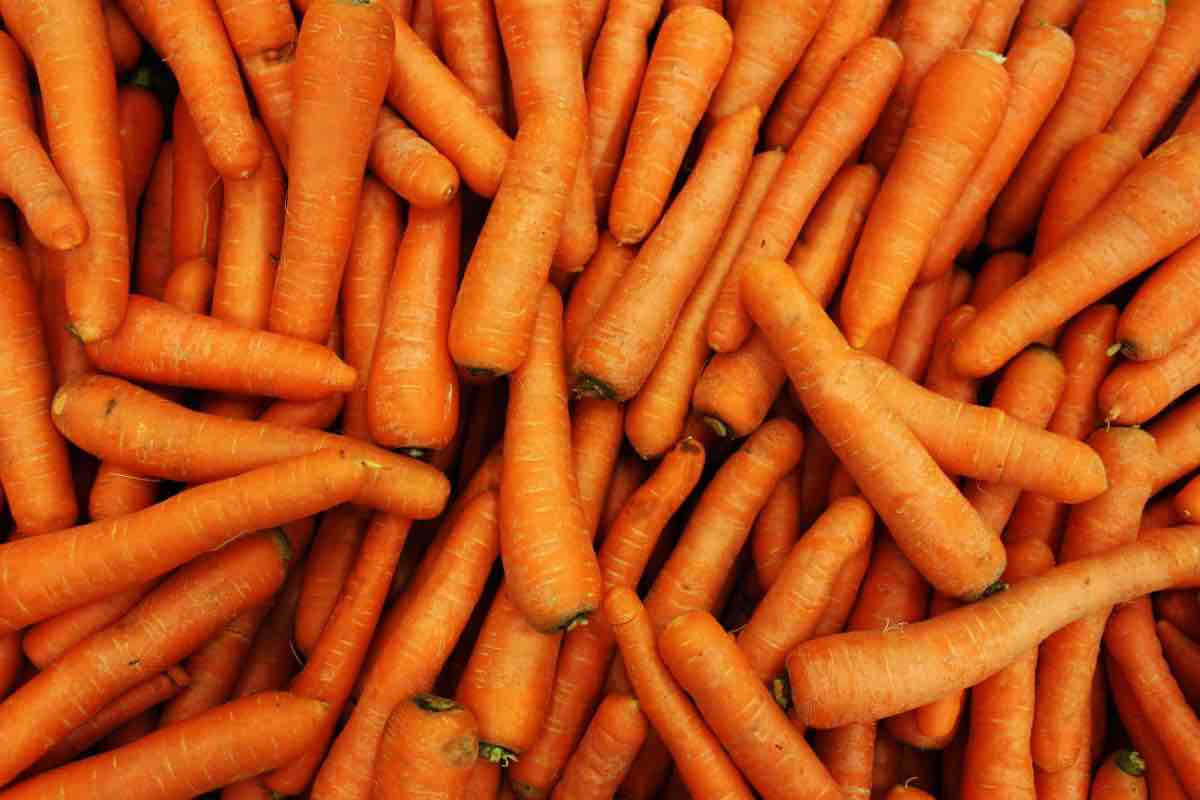 le carote si mangiano crude o cotte