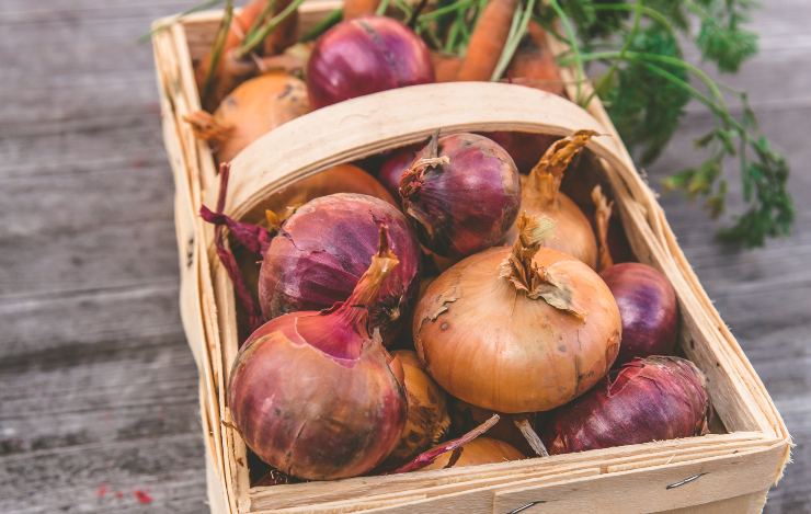 come riutilizzare bucce di cipolla