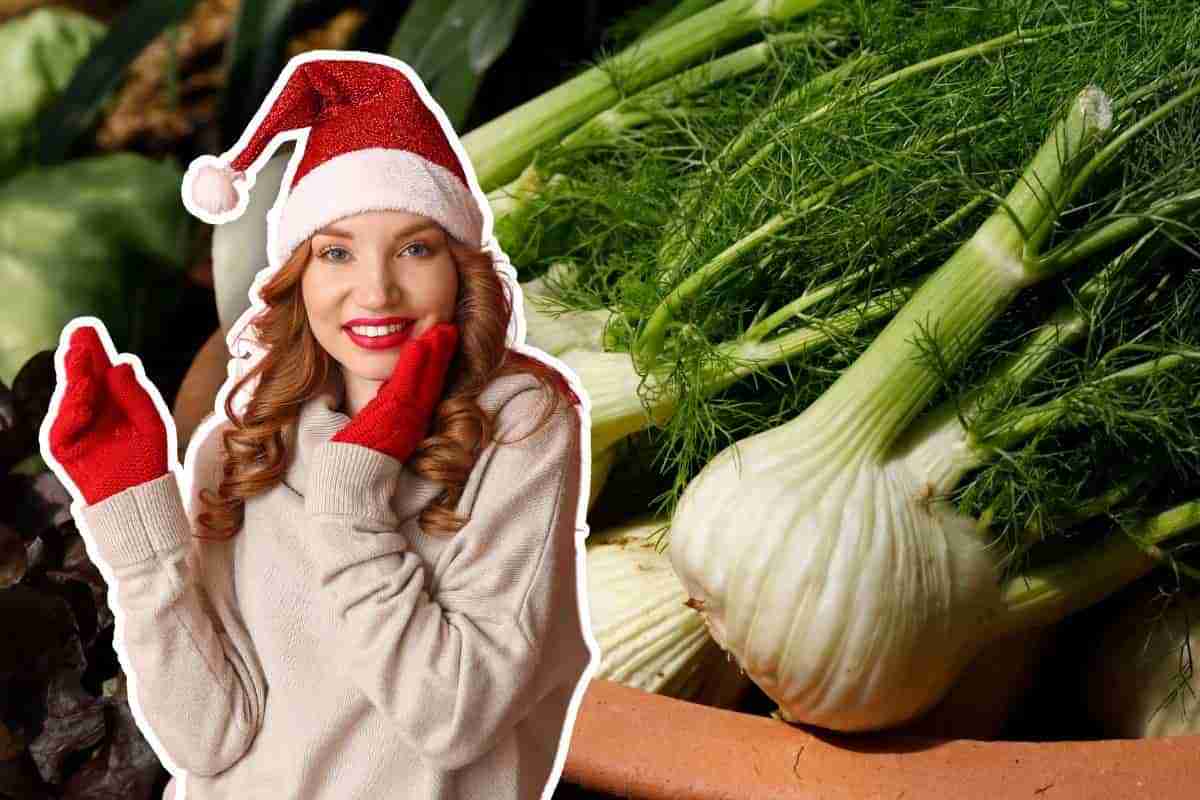 Altro che lattuga per Natale: procurati dei finocchi e il contorno del menù te lo faccio amare in 10 secondi