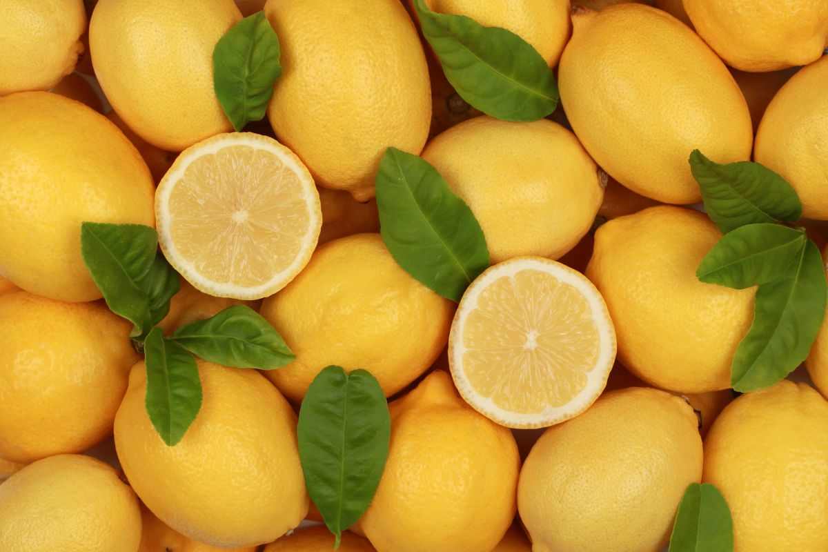 come conservare i limoni