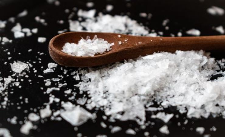 cos'è il sale integrale