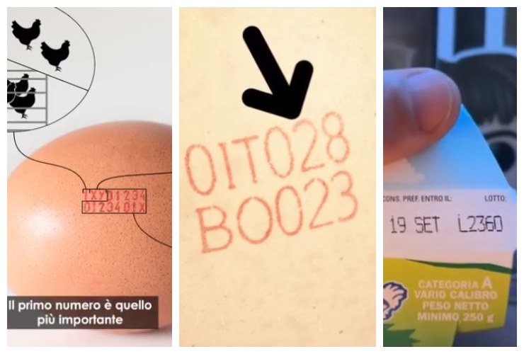 Uova supermercato come leggere etichetta