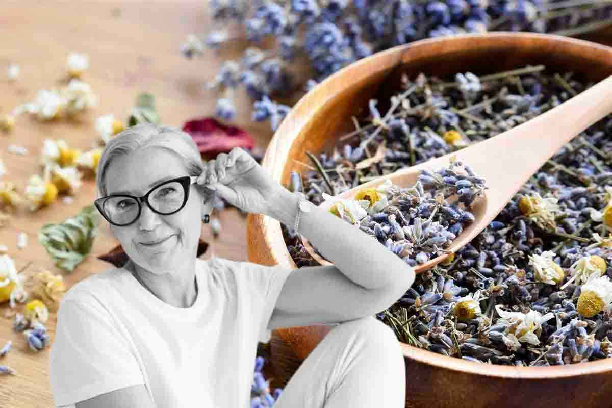 Erbe aromatiche, il trucco della nonna per averle sempre fresche e pronte all’uso: risparmi una fortuna