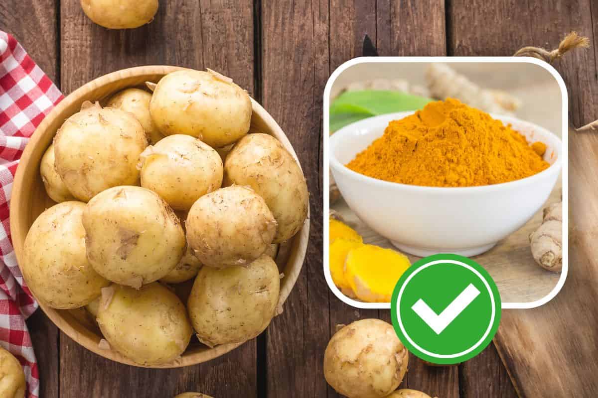 Ricetta patate e curcuma