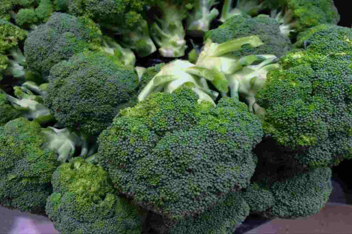 Proprietà benefiche dei broccoli