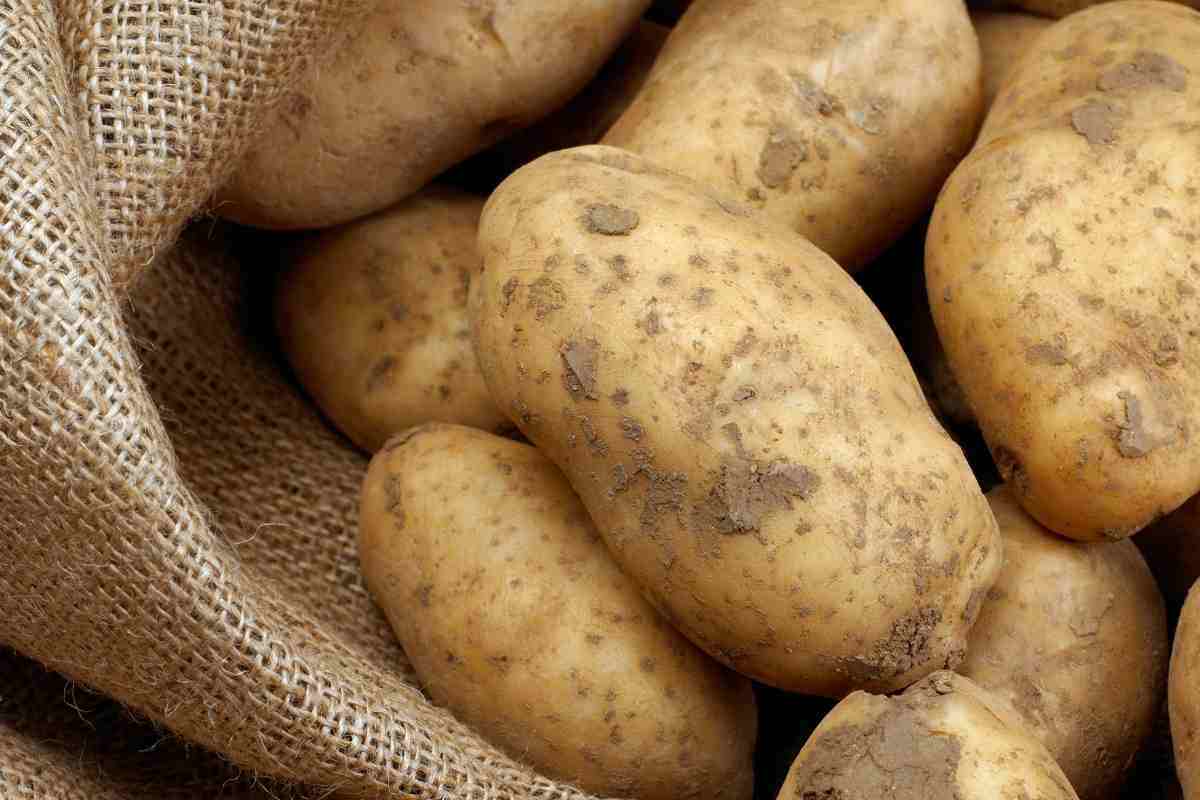 Hai un sacchetto di patate vecchie? Puoi realizzare una cena economica ed abbondante senza uscire a far la spesa