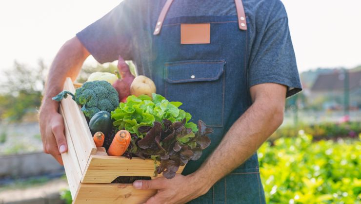 come riconoscere alimenti bio 