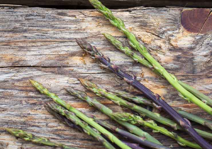 frittata di asparagi selvatici ricetta