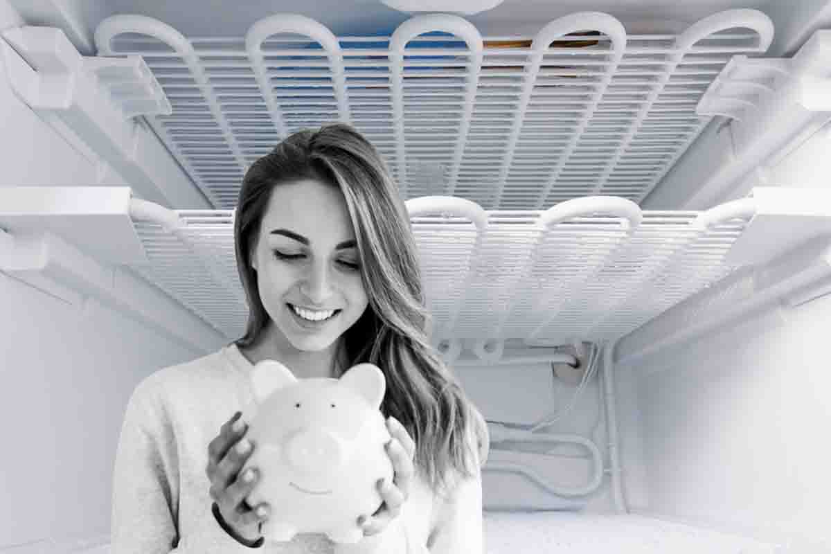 Freezer, usarlo correttamente ti permette di risparmiare oltre il 30 per cento sulla spesa: i trucchi geniali