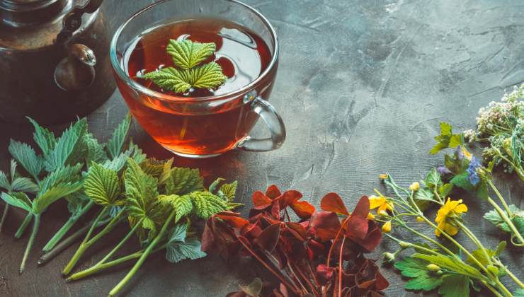 piante officinali come si coltivano