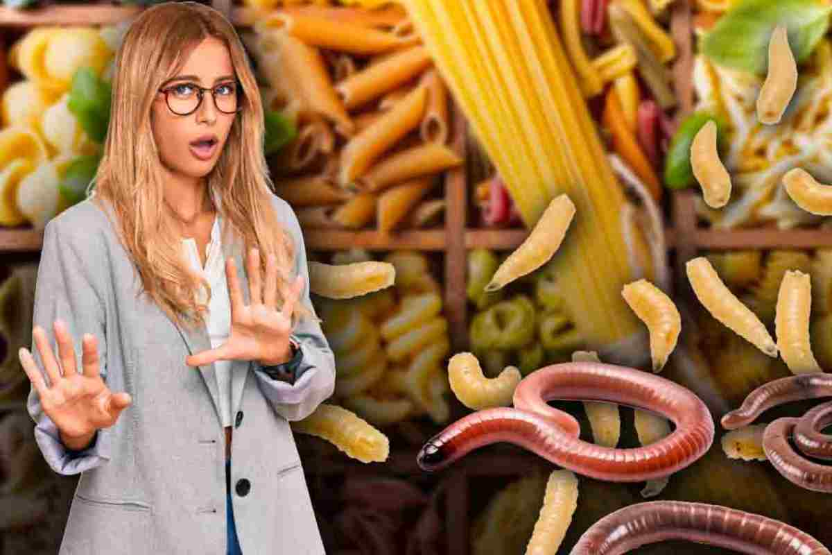 Vermi e farfalline nella pasta: attenzione a questi, sono altamente nocivi per la salute