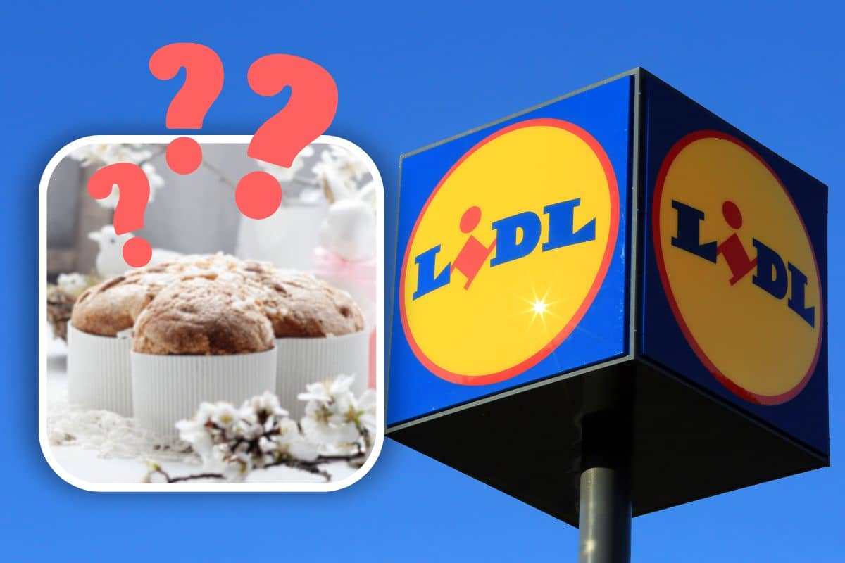 La colomba integrale di Lidl sta spopolando, ma è veramente migliore delle altre? Ecco chi la produce e cosa contiene