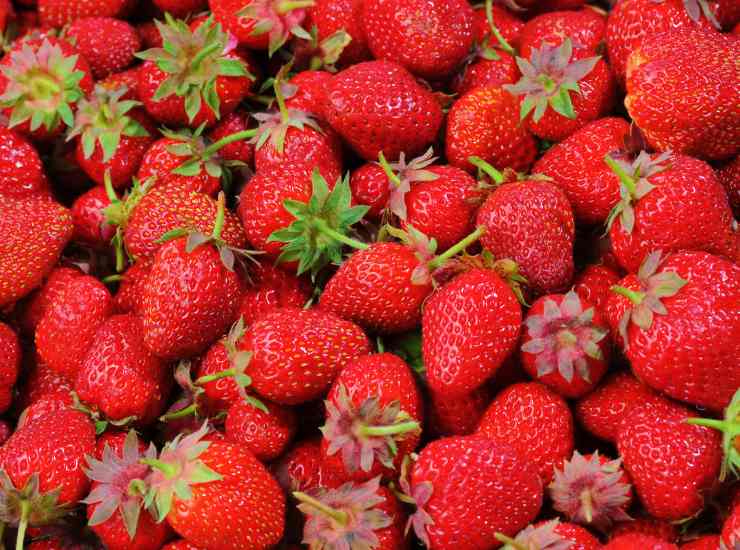 Ingredienti e preparazione crostata fragole e frangipane Damiano Carrara