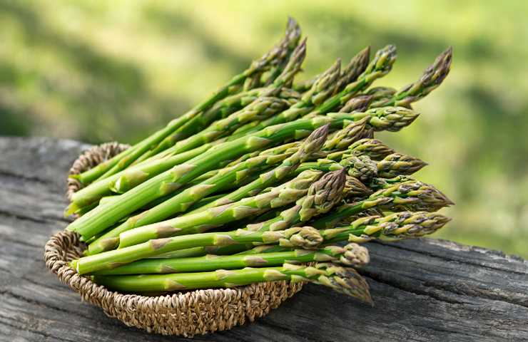 come scegliere i migliori asparagi