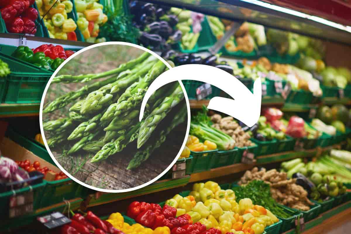 A Marzo  e Aprile tornano gli asparagi: sai scegliere i più saporiti? Così non puoi sbagliare al supermercato