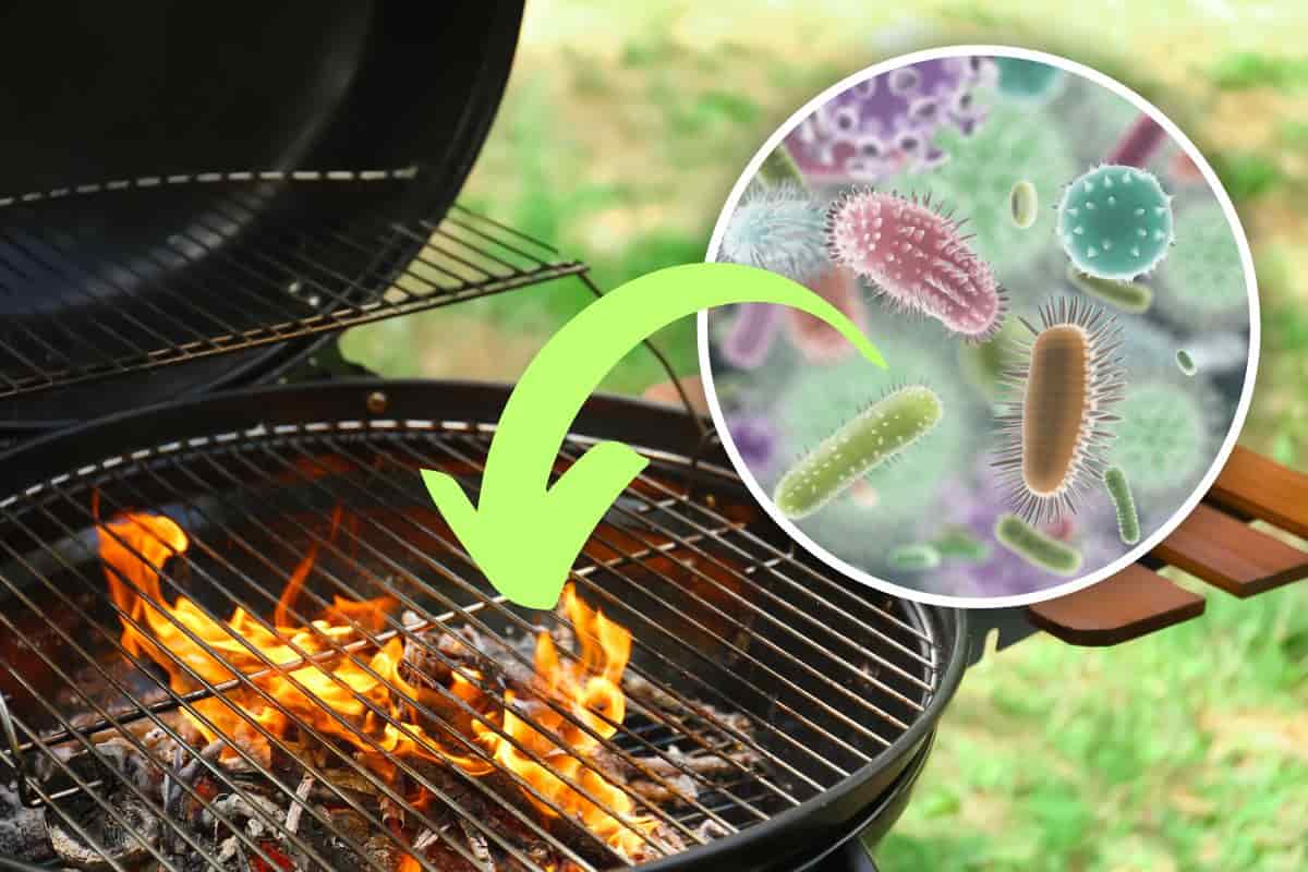 rimuovere batteri griglia barbecue