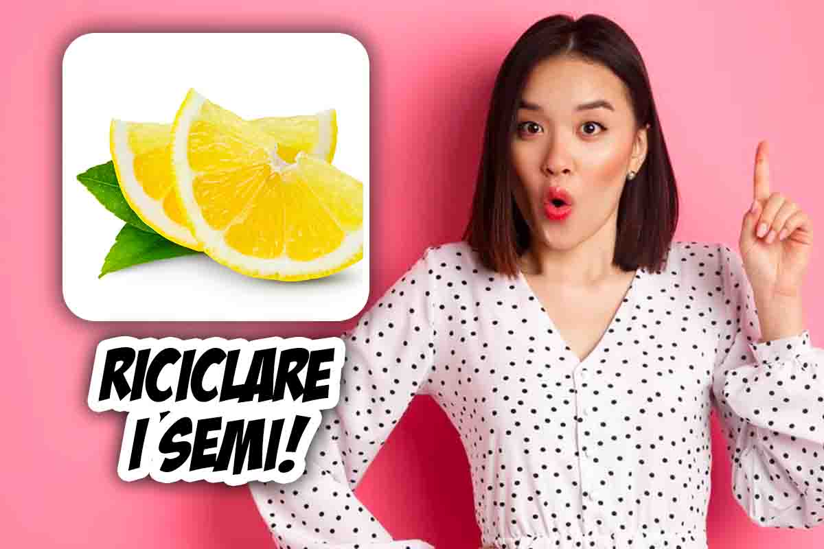 come riciclare bucce e semi di limone