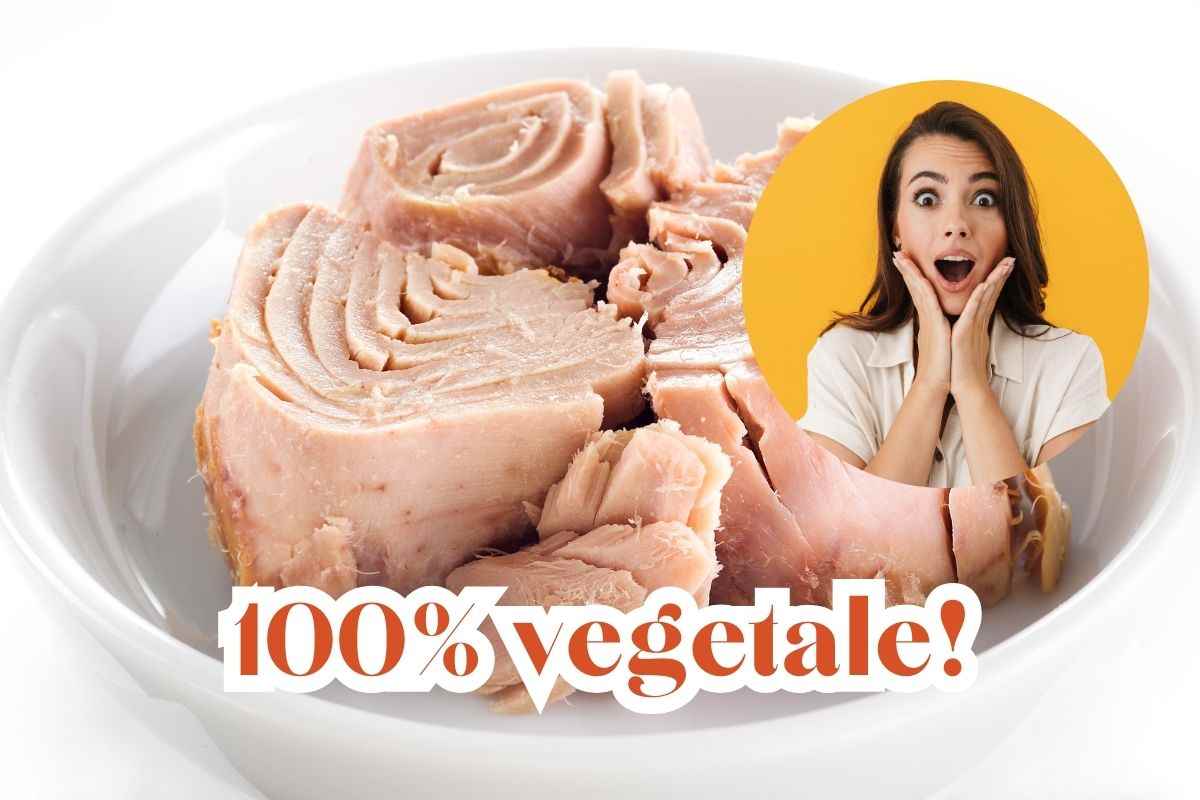 Nei supermercati arriva il tonno in scatola vegano: marca, prezzo, come viene prodotto e valori nutrizionali