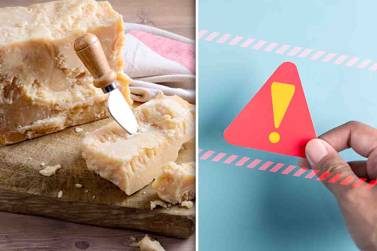 test salvagente parmigiano grana