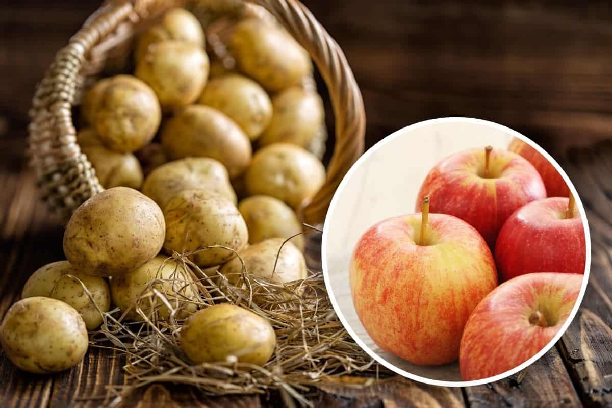 Patate che durano a lungo, il trucco ‘della mela’ ti fa dire addio agli sprechi