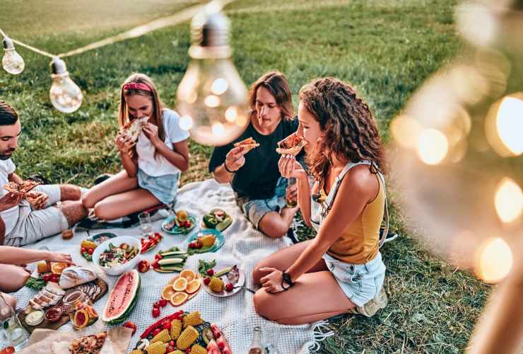 Da cosa nasce la parola picnic