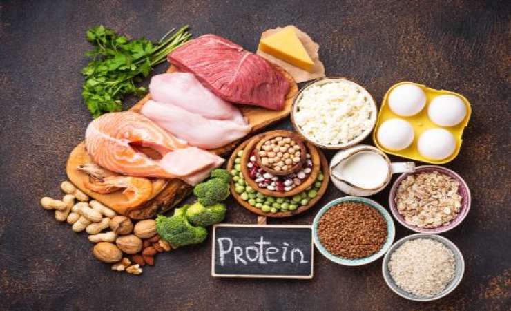 alimenti che contengono proteine