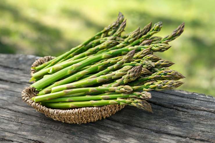 cannoli salati con asparagi ricetta