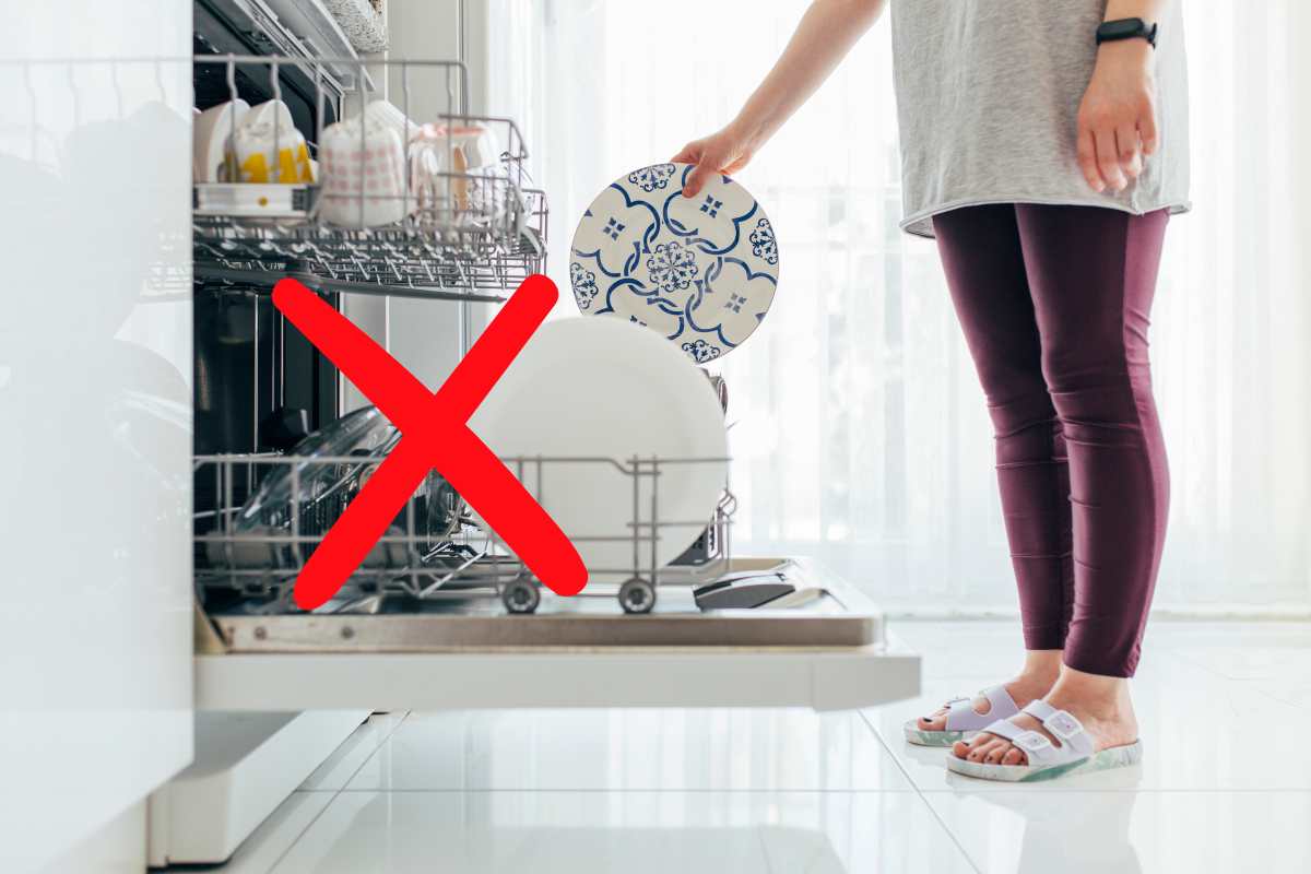 L’oggetto che usi tutti i giorni in cucina e che mai e poi mai dovresti lavare in lavastoviglie: l’errore potrebbe costarti caro