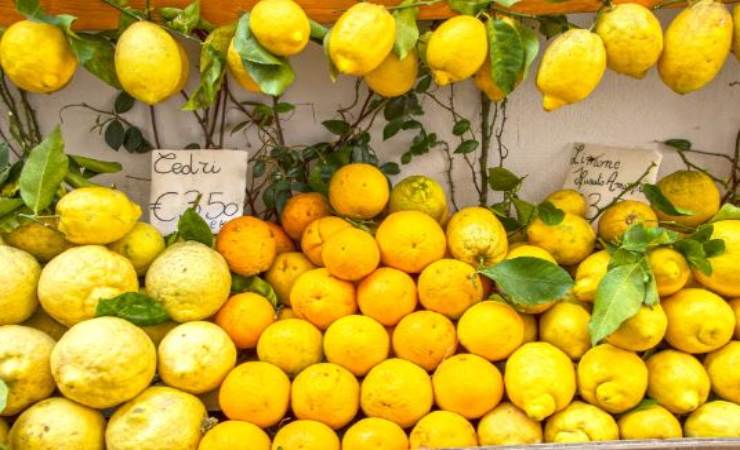 differenze tra cedro e limone